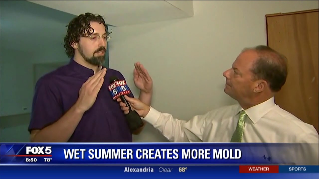 Valor Mold live on Fox morning news