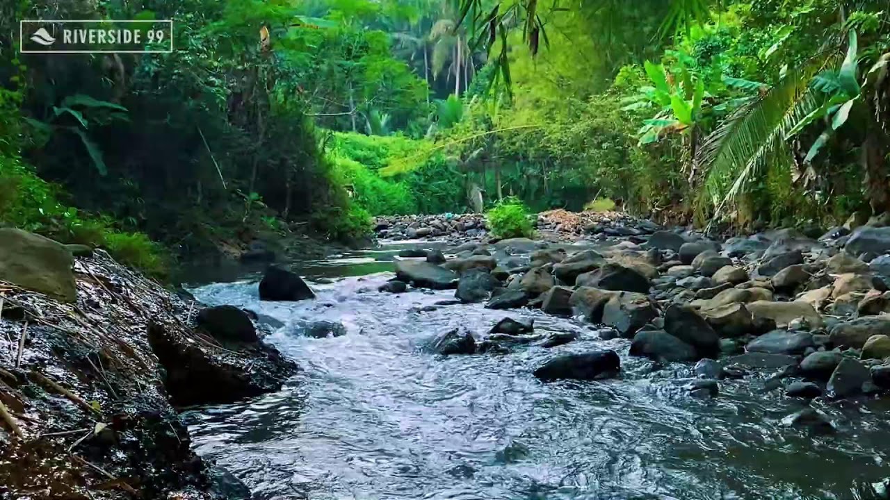 Mountain River Flowing Sounds 24/7 for Sleeping | Nature Water Sounds White Noise for Relaxation #1
