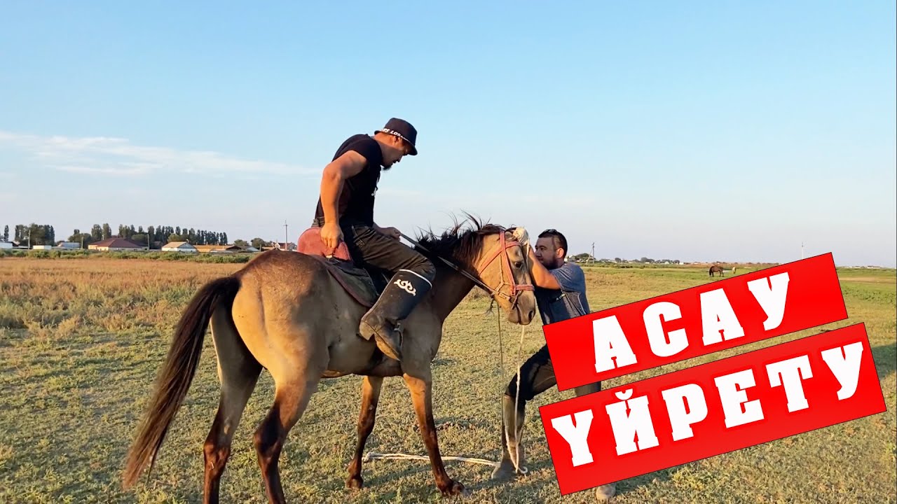 АСАУ ҮЙРЕТУ.|ЕР БАЛАНЫ ЕРТЕ ЖАСТАН АТҚА ОТЫРҒЫЗУ.Ганюшкино #Асау