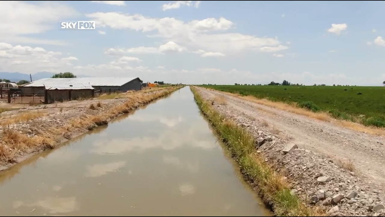 Study calls for alfalfa, hay cuts in Utah to help the Great Salt Lake