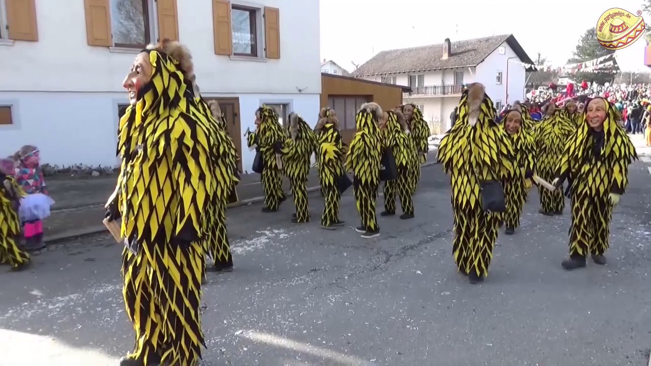 37. Kleggau Narrentreffen Umzug am Sonntag