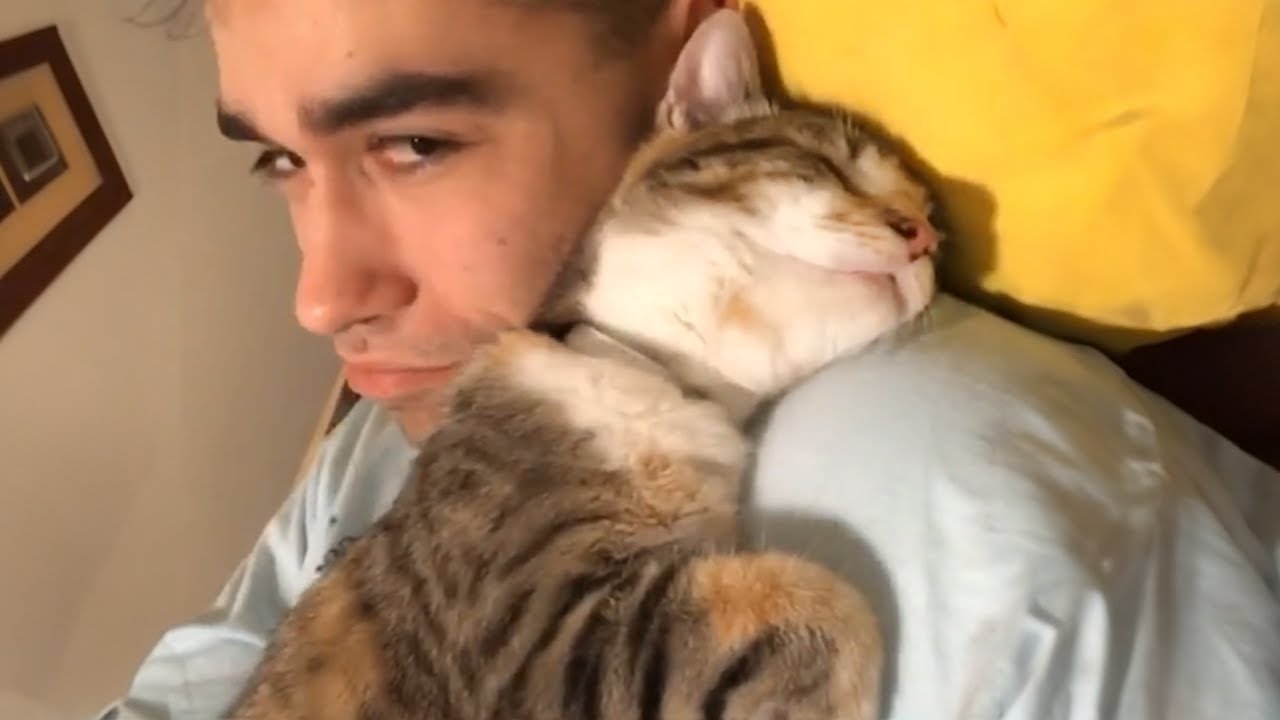 Моя душа очищена любовью моего кота - Милые моменты между котом и человеком