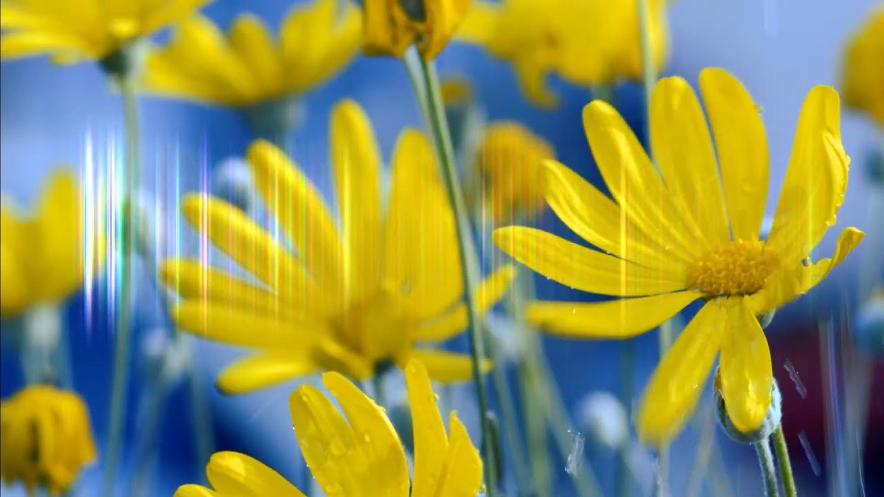 EUPHORIA / LOVE / MUSIC of LOVE / RELAX / MEDITATION / AMBIENT/  Beautiful / MAGIC / electro fusion