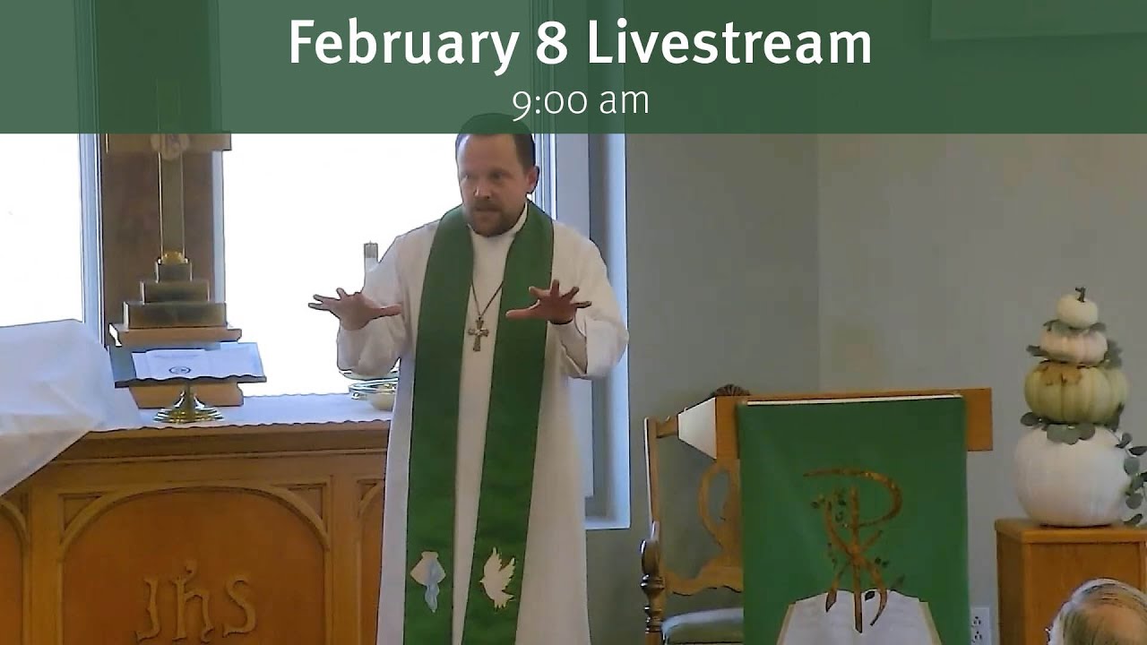 Feb 8 Livestream