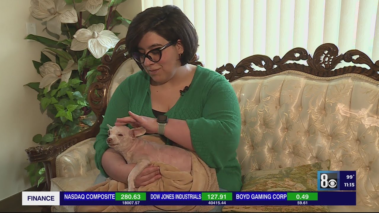 Las Vegas dog missing for 9 years finally returns home