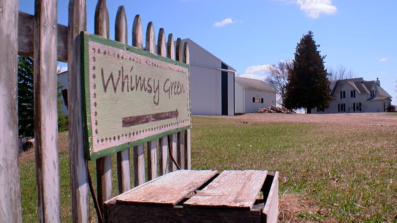 Finding Minnesota: Whimsy Green