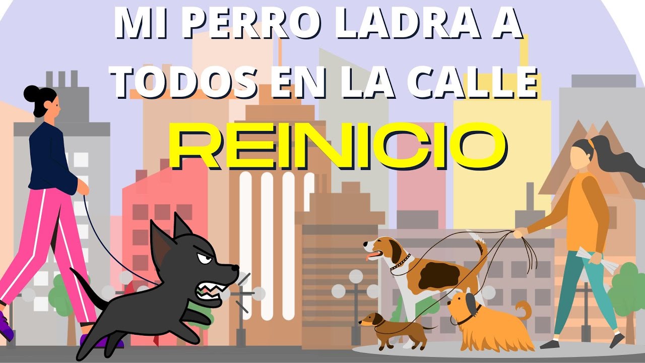 Mi PERRO ladra a PERROS en la CALLE, ejercicio REINICIO.