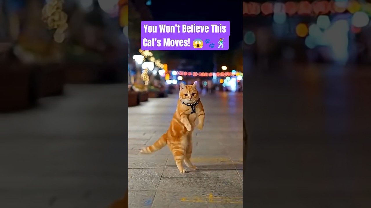 Orange Cat Doing the Shuffle Dance 😹💃 | Funny AI Cat Moves | Cat Orange AI Shorts