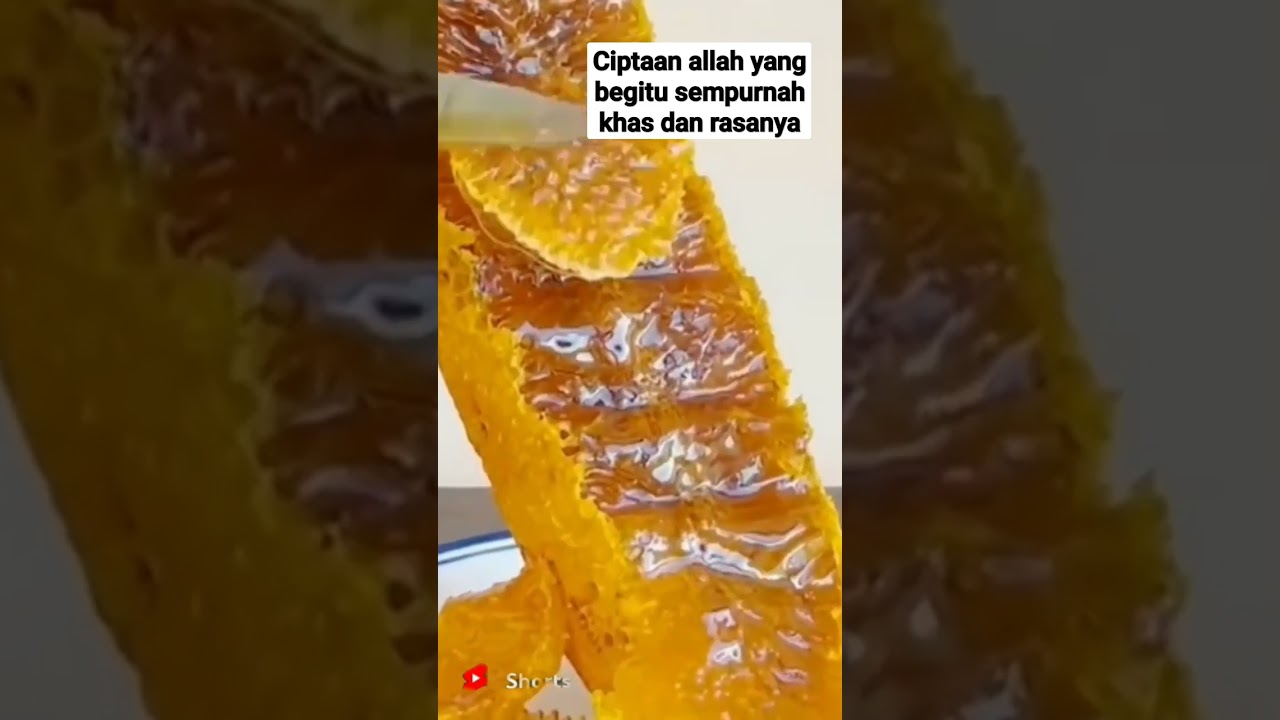lagi viral ciptaan allah yang begitu sempurnah dan khas rasanya#shortsvideo