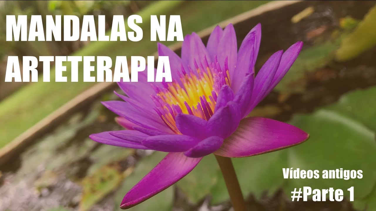 Mandalas na Arteterapia com Patricia Pinna   Bloco 1