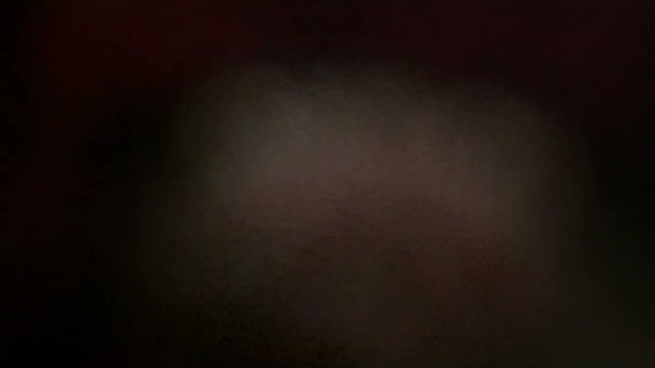 ٢٣ فبراير ٢٠٢٦