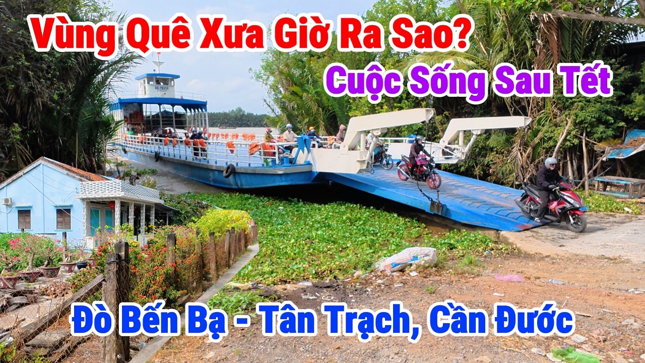 Vùng Quê Bình Yên Cần Đước - Đò Bến Bạ Cuộc Sống Bà Con Sau Tết Sẽ Như Thế Nào?