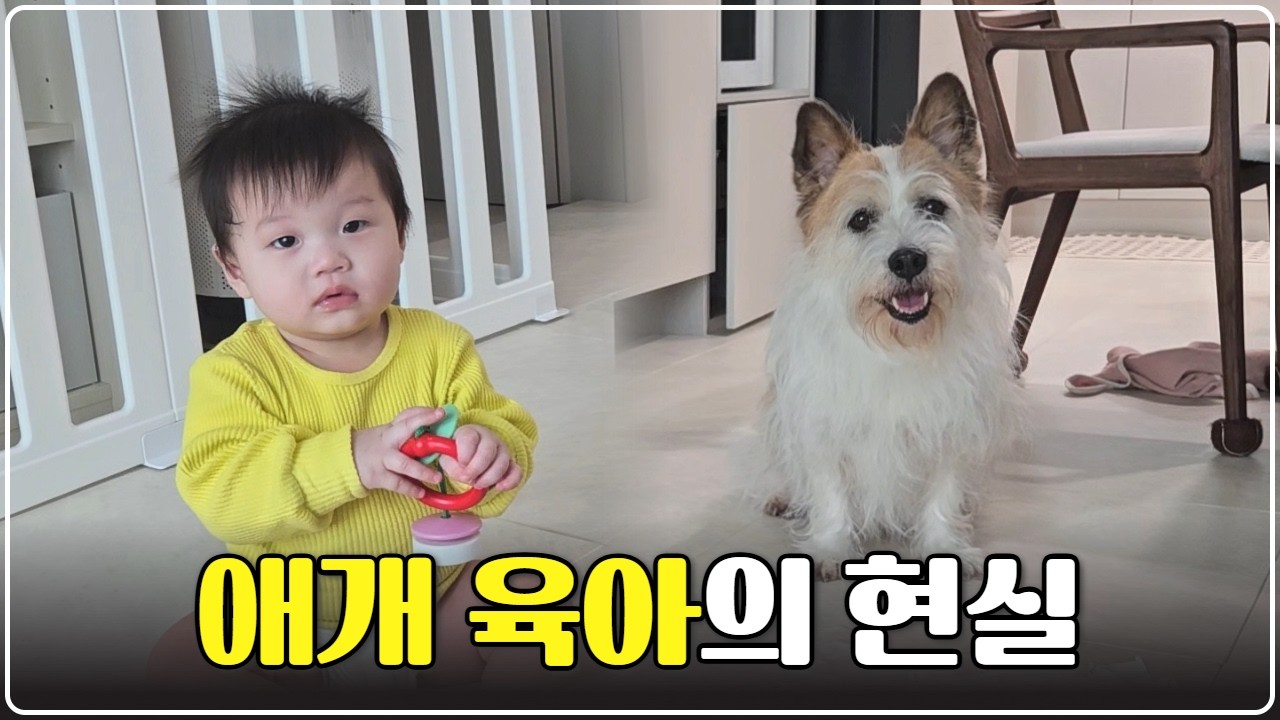 아기와 강아지, 같이 길러도 될까? | 애개 육아의 현실