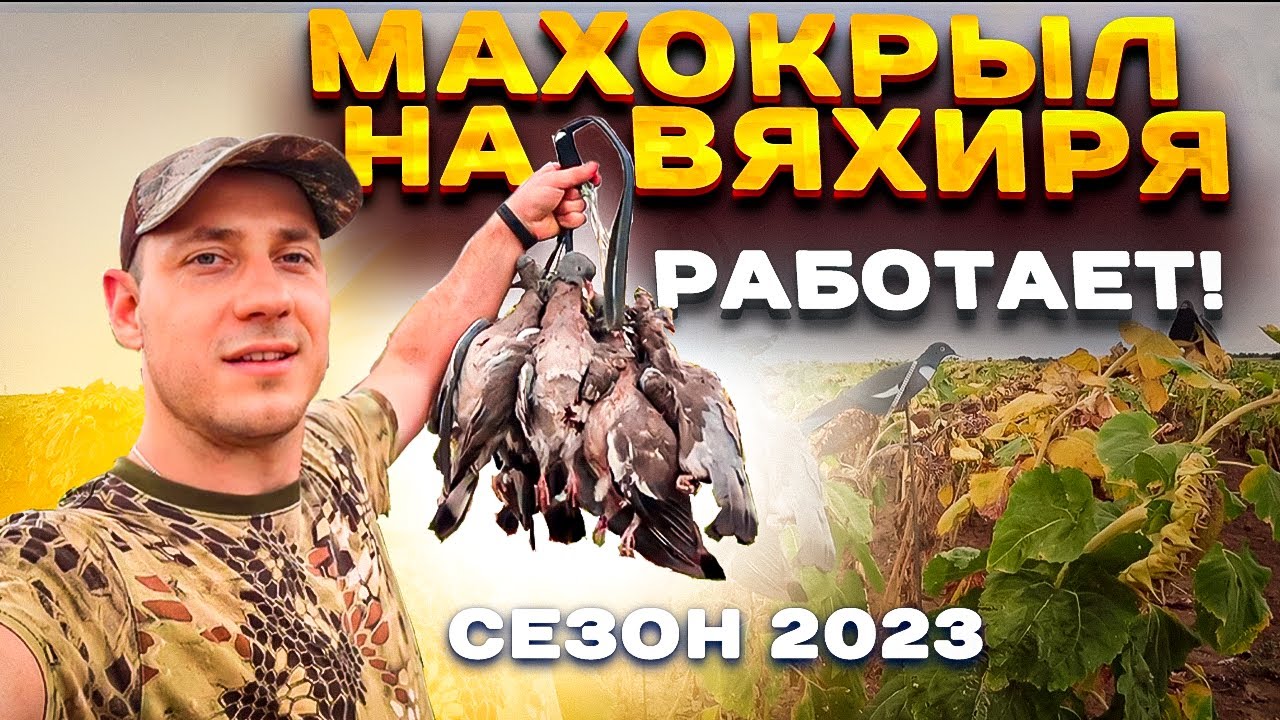 ФЕЕРИЧНАЯ ОХОТА НА ВЯХИРЯ. МАХОКРЫЛ В ДЕЛЕ! Сезон 2023.#охотанавяхиря#охотанавитютня#охотанагоголубя