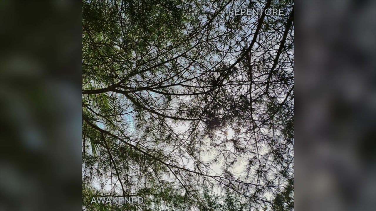 REPENTORE - Awakened