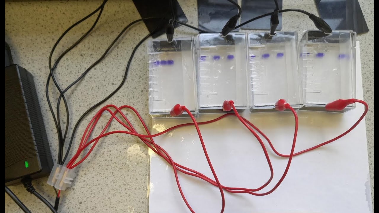 Running an NCBE gel from the 36V transformer