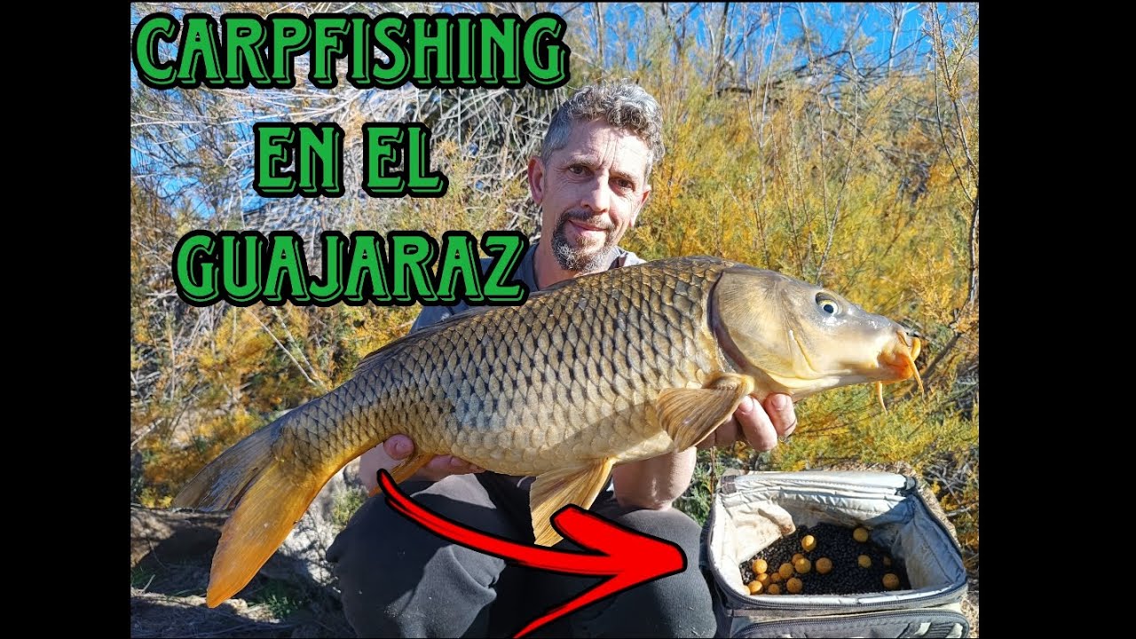 CARPFISHING en el EMBALSE del GUAJARAZ 🐟💯🎣
