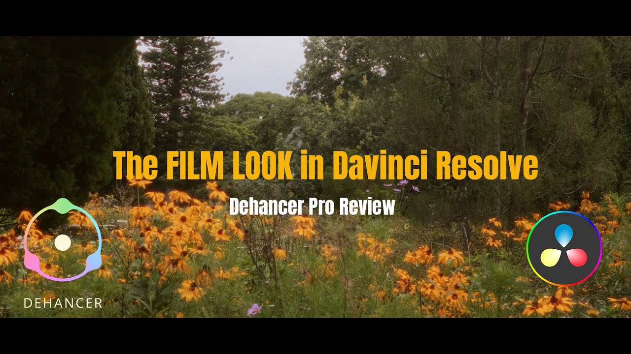 Jak uzyskać efekt FILM LOOK w aplikacji Davinci Resolve (recenzja aplikacji Dehancer Pro)