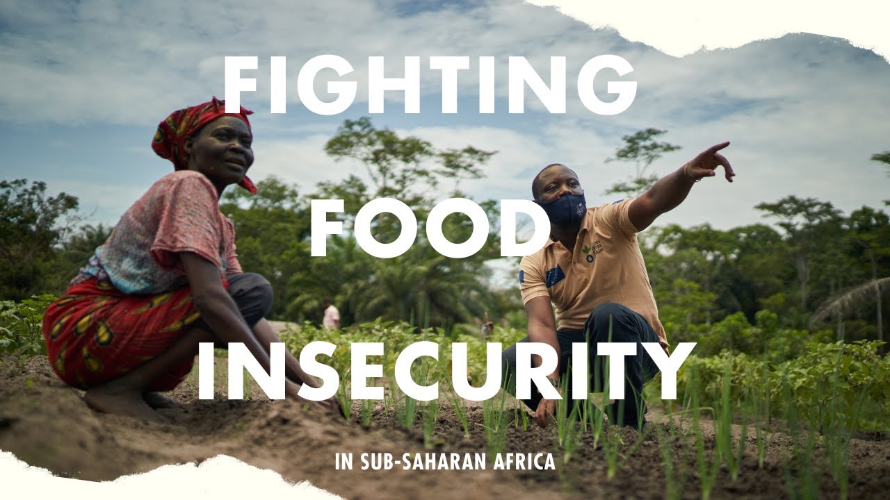 CLIMATE SMART INNOVATIONS: Focusing in on Sub-Saharan Africa