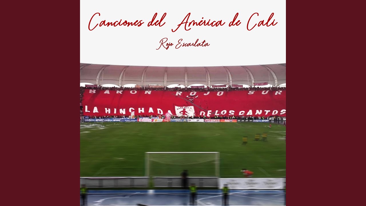 Llevo Con Orgullo Esta Camiseta (Barón Rojo Sur)