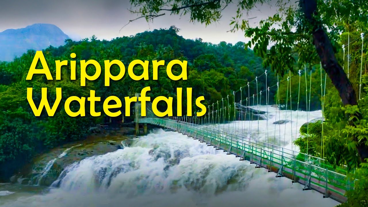 Arippara Waterfalls: A Hidden Gem in the Heart of Kerala