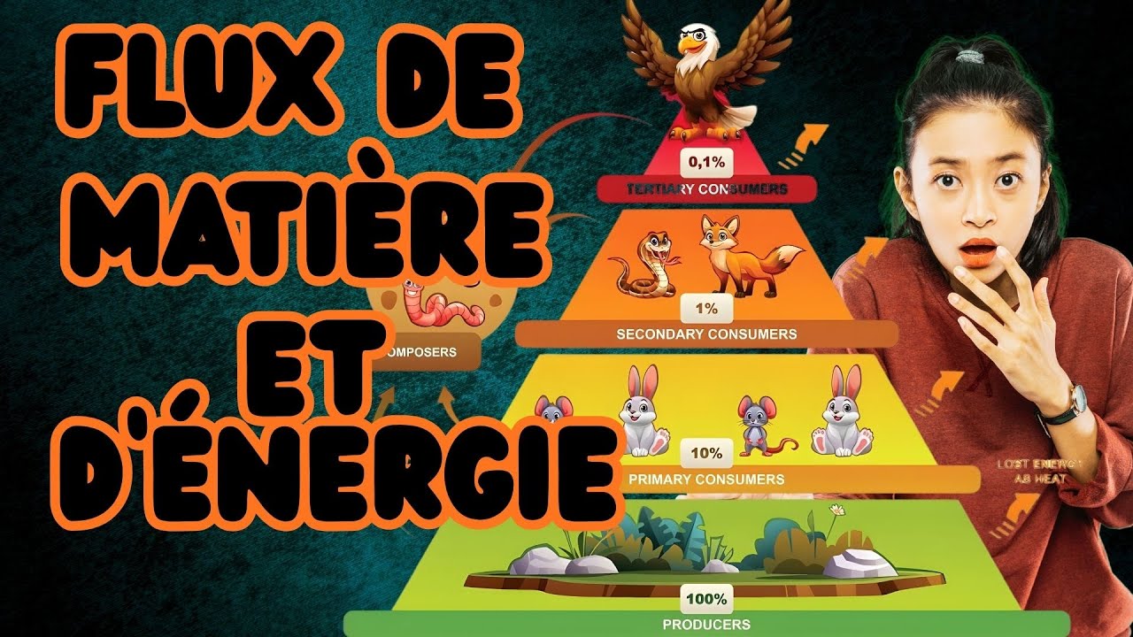 Flux de matière et d'énergie , Tronc commun sciences biof