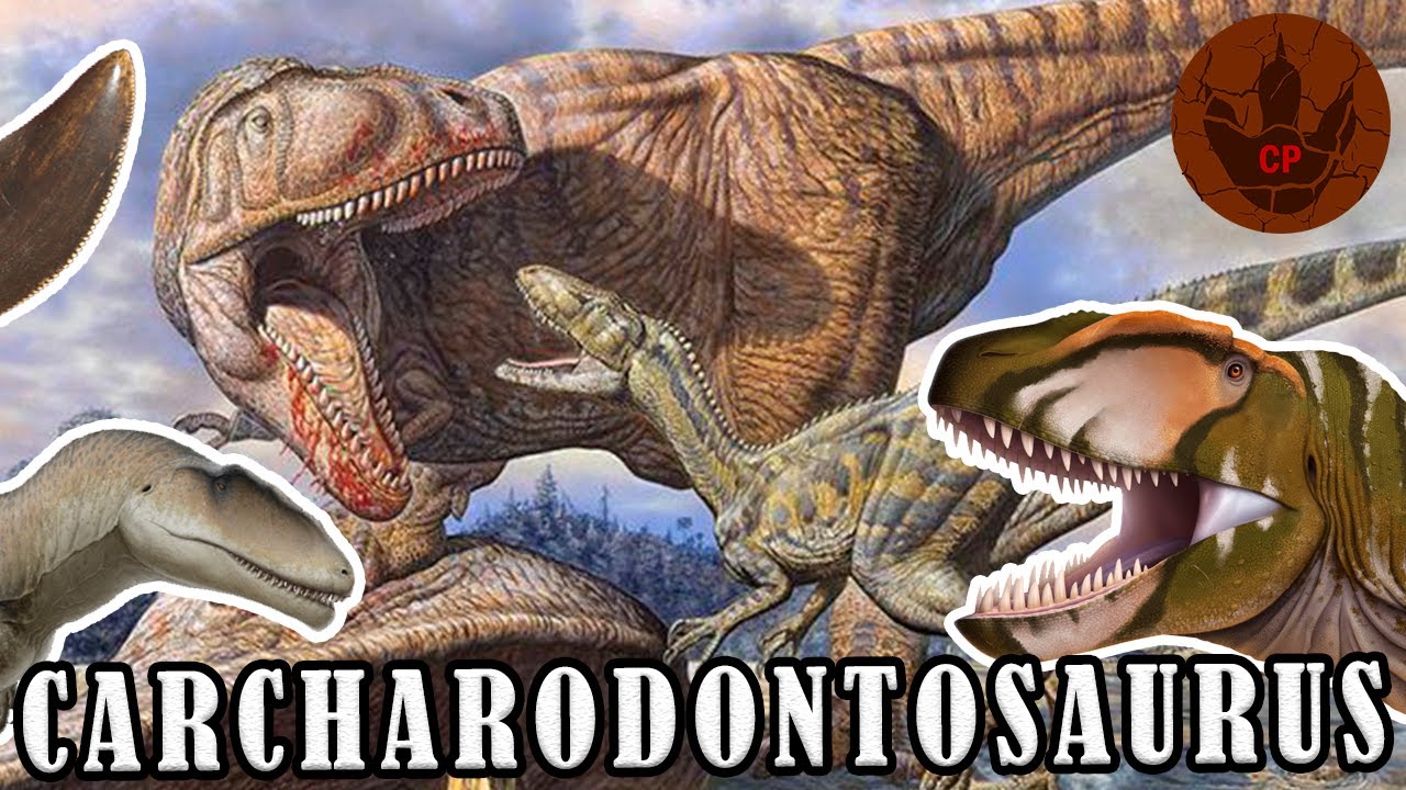 CARCHARODONTOSAURUS El Lagarto Con Dientes de Tiburón