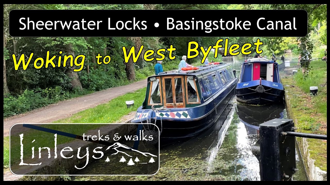 Basingstoke Canal &bull; Woking to West Byfleet &bull; Sheerwater Locks