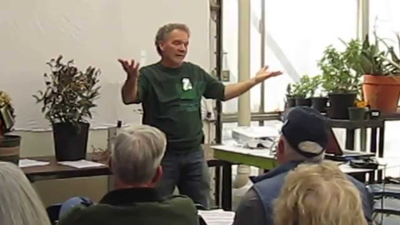 Tips for pruning ornamental trees
