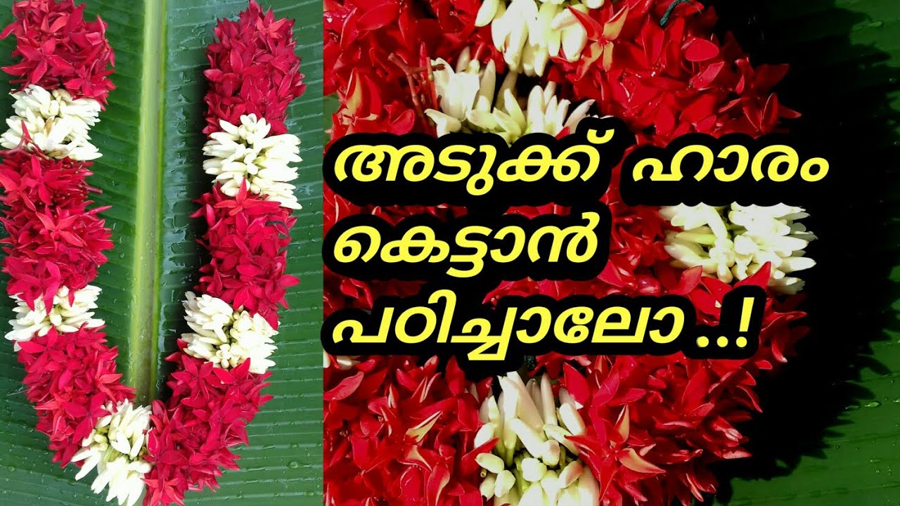 മാല ഉണ്ടാക്കുന്ന വിധം #gajra  easy method flower garland || flower garland  #swami #ayyappan  #Padma