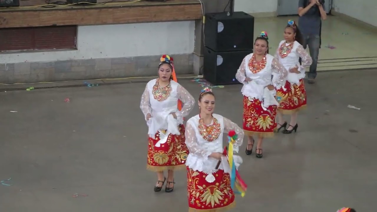 PALLAS DE LLACTARUNA