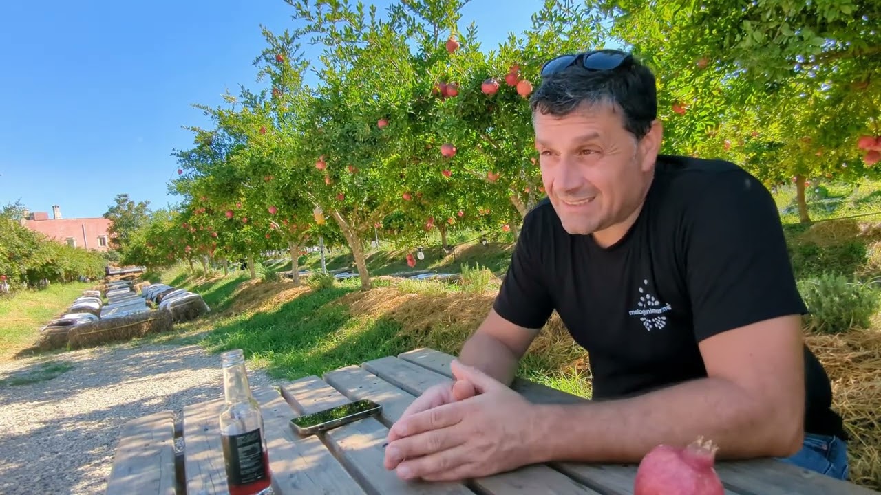 melograni martino
