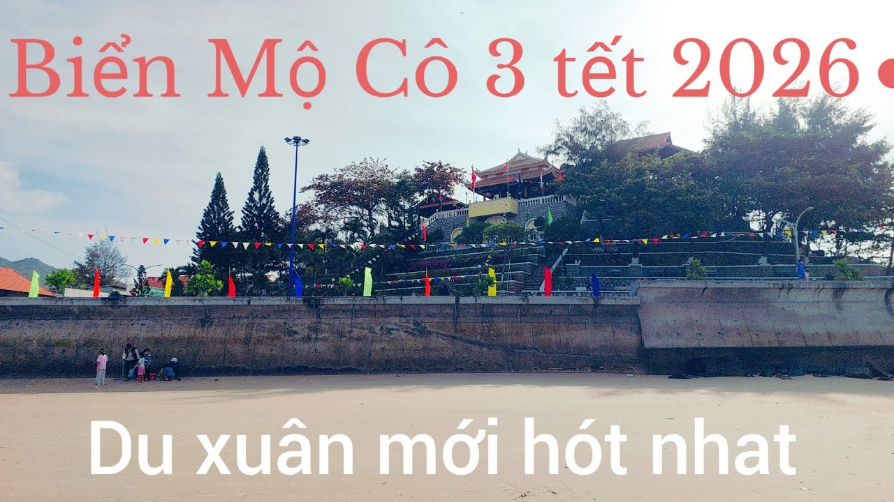 Du lịch Biển Mộ Cô  long Hải  3 tết  Bính Ngọ  2026 moi nhất 