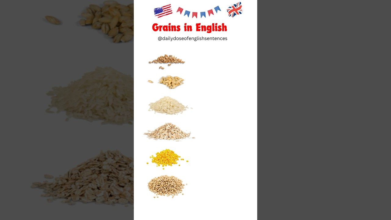Understanding Grains:Types of Grains in English #learnenglish #englsih