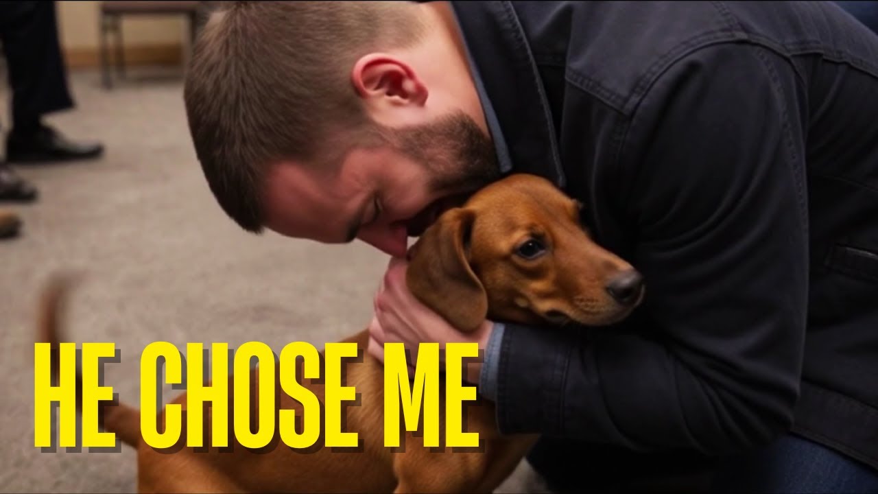 This Shelter Dog Chose His Human | The Moment That Changed Everything