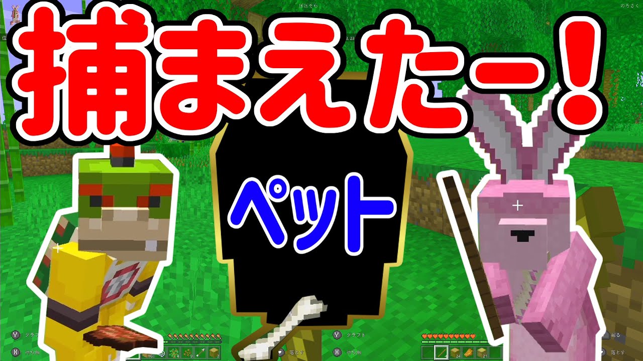 【マインクラフト】家造りしてたらペットが寄ってきたから捕まえたぞー！ #2