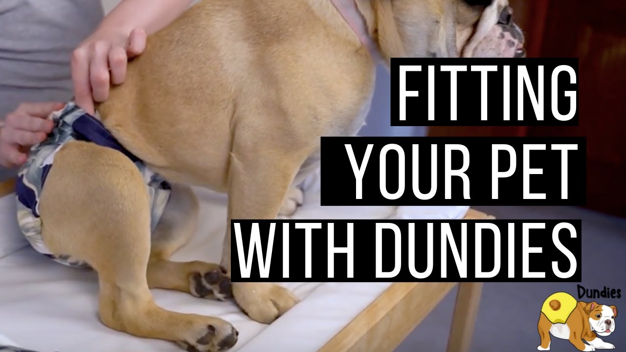 Dundies | How To Put A Nappy On