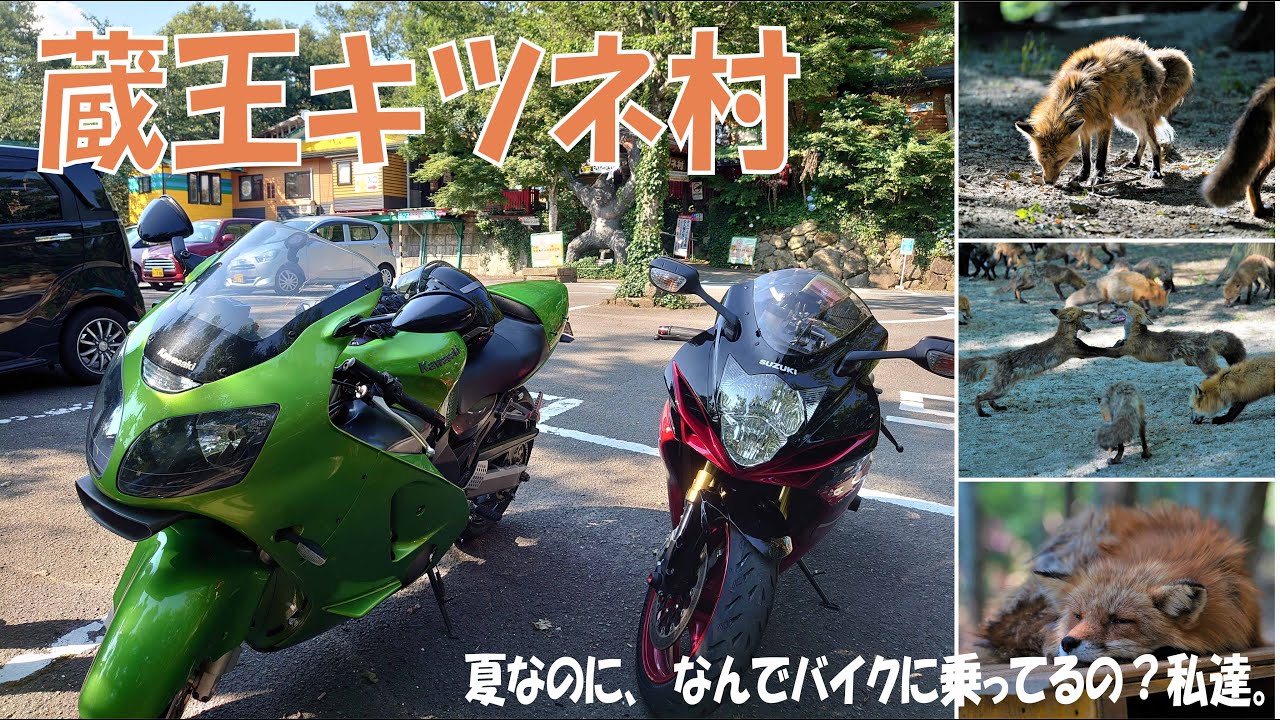 バイク乗りカップルで狐に癒しを求めてツーリング【SUZUKI GSX-R750】【KAWASAKI ZX-12R】