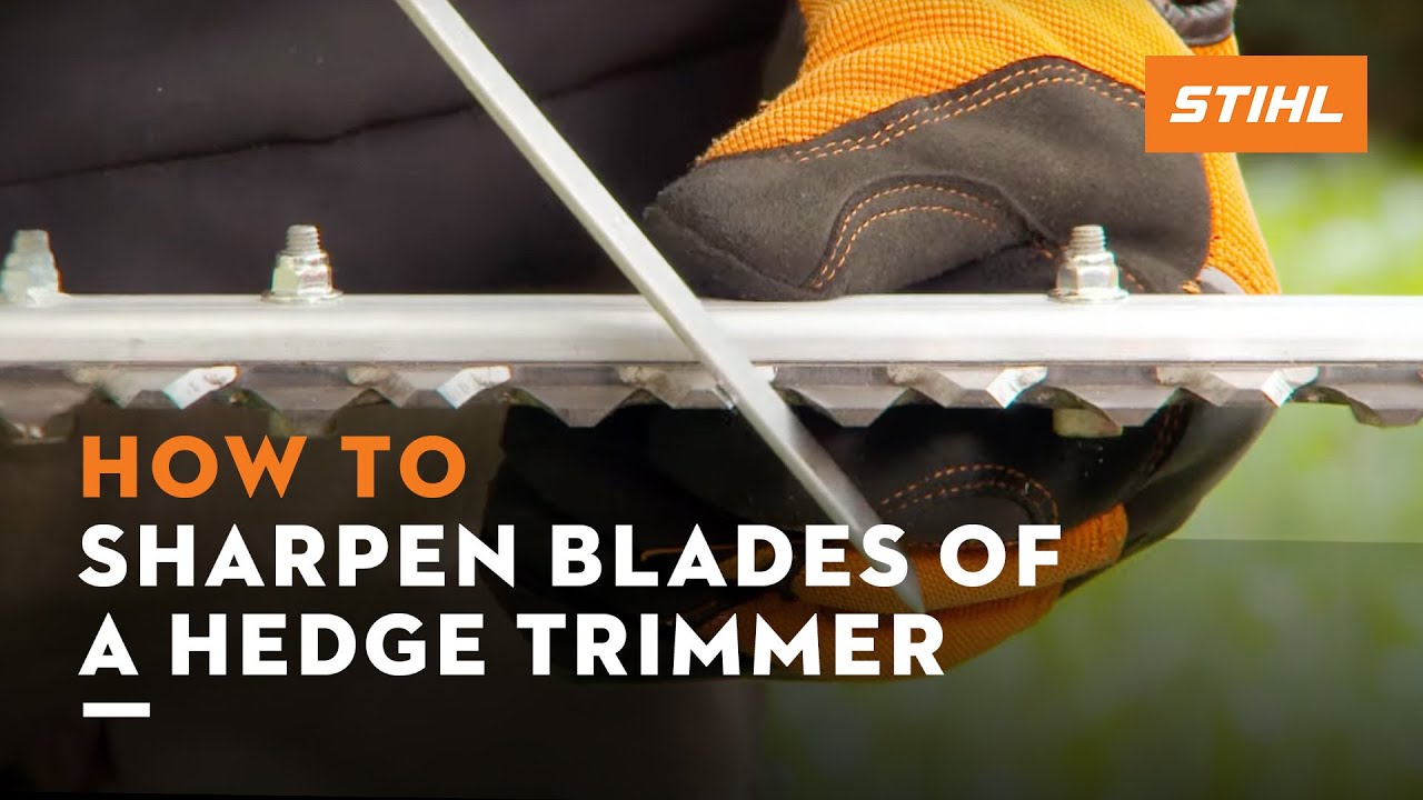 How to sharpen the blades of a hedge trimmer | STIHL