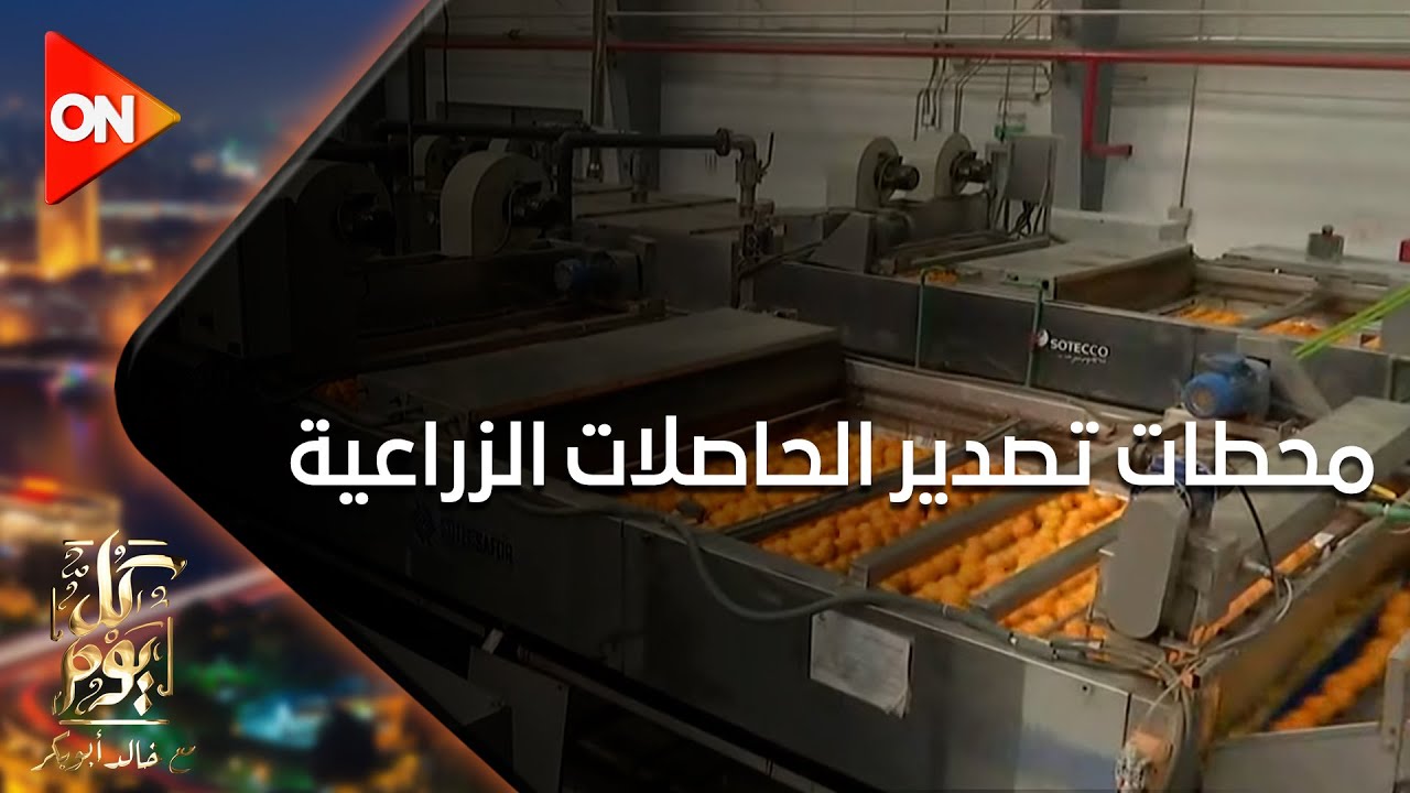 كل يوم - جولة داخل إحدى محطات تصدير الحاصلات الزراعية بمدينة السادات