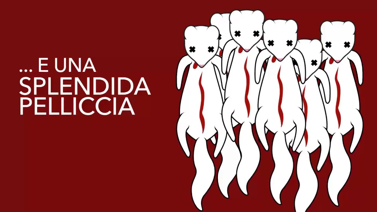 NATI CON LA PELLICCIA - una vita da visone
