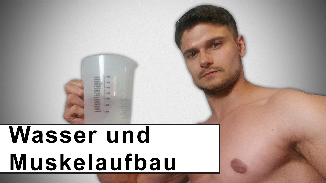 Warum ist viel trinken wichtig für den Muskelaufbau?
