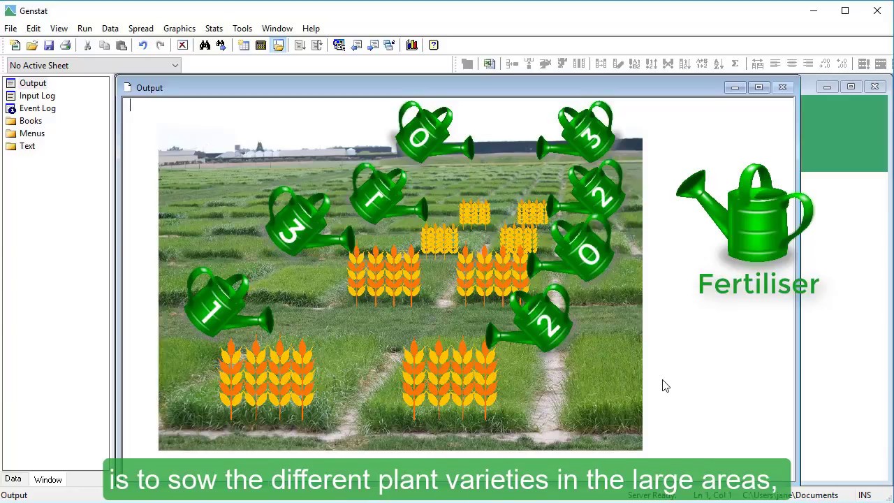 Split Plot Design using Genstat