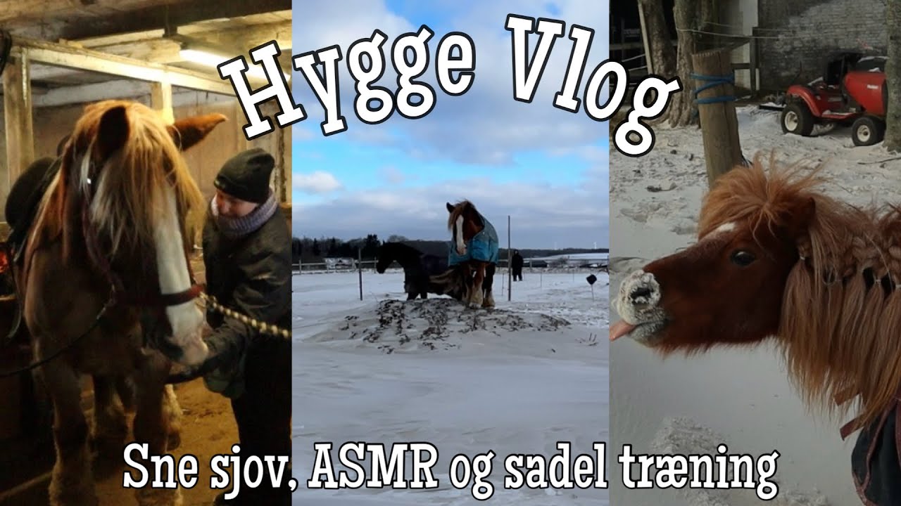 Hygge vlog #14 - Snesjov, ASMR og sadel træning