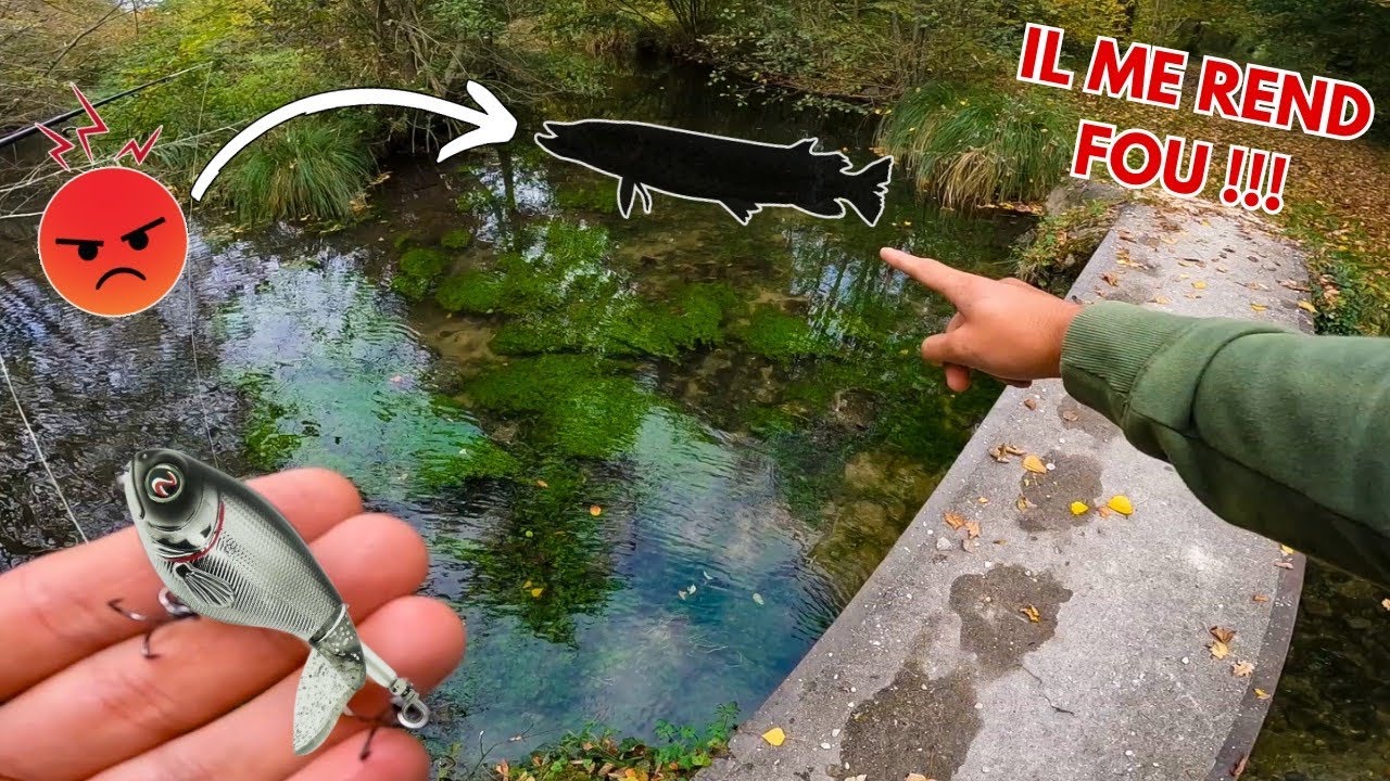 Le GROS BROCHET de cette PETITE RIVIÈRE très CLAIRE me rend COMPLÈTEMENT FOU…!