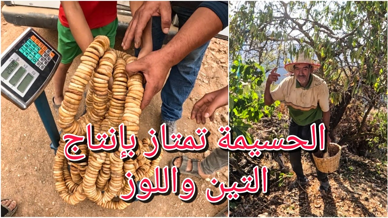 الحياة في أعالي جبال الريف. تماسينت إقليم الحسيمة tamassint_alhoceima