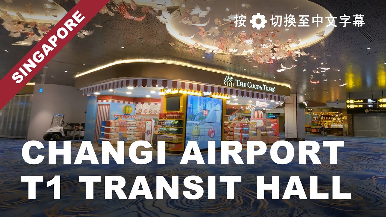 Singapore Changi Airport Terminal 1 Transit Hall