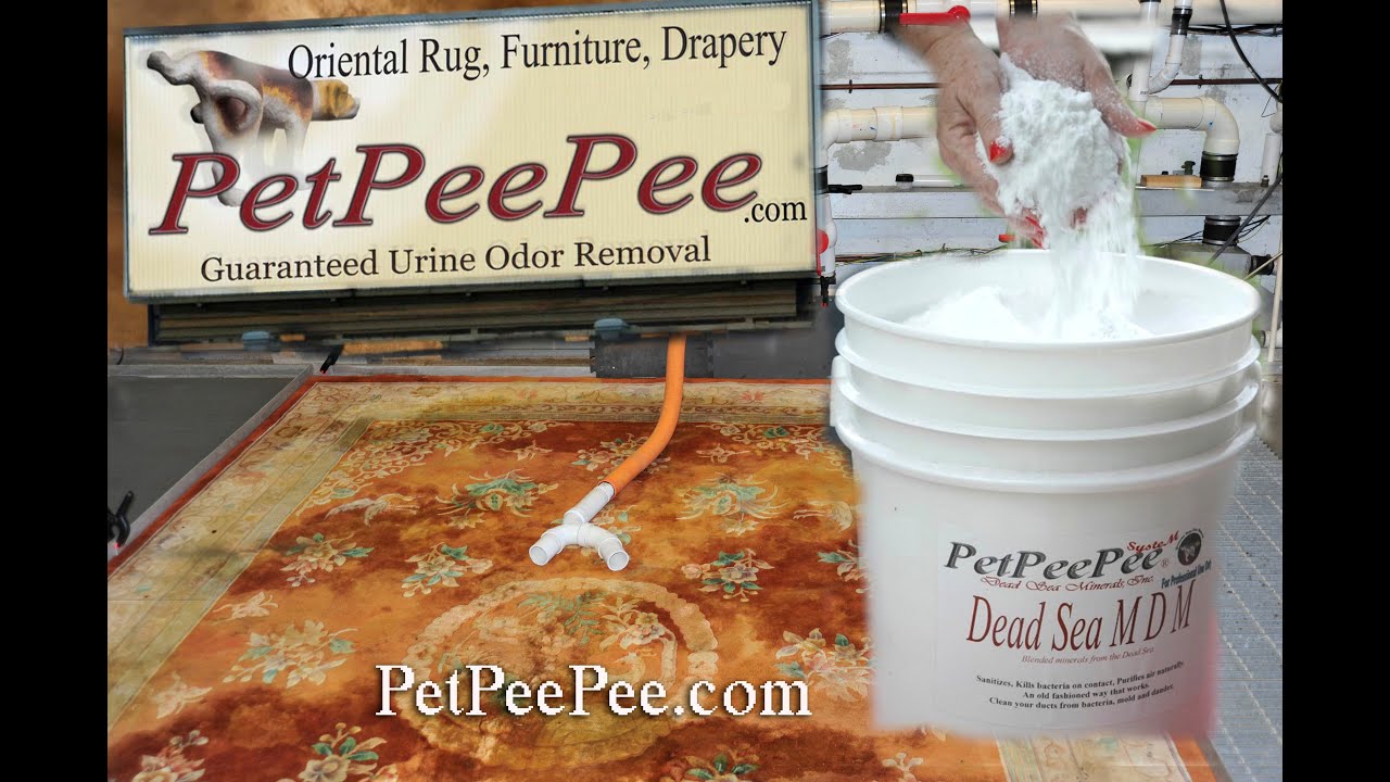 Chemical-Free Oriental Rug Clean from Yoga Sweat & Body Odor | PetPeePee&reg;