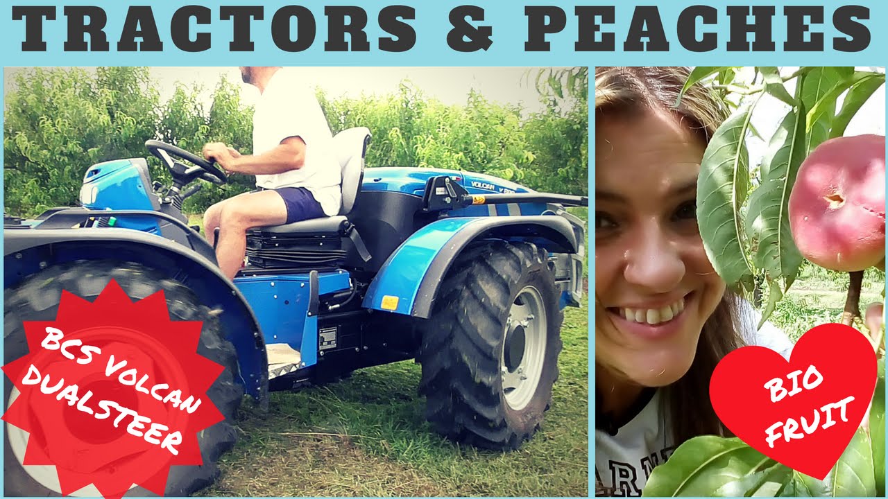 Tractors and peaches - BCS Volcan V800 DUALSTEER -