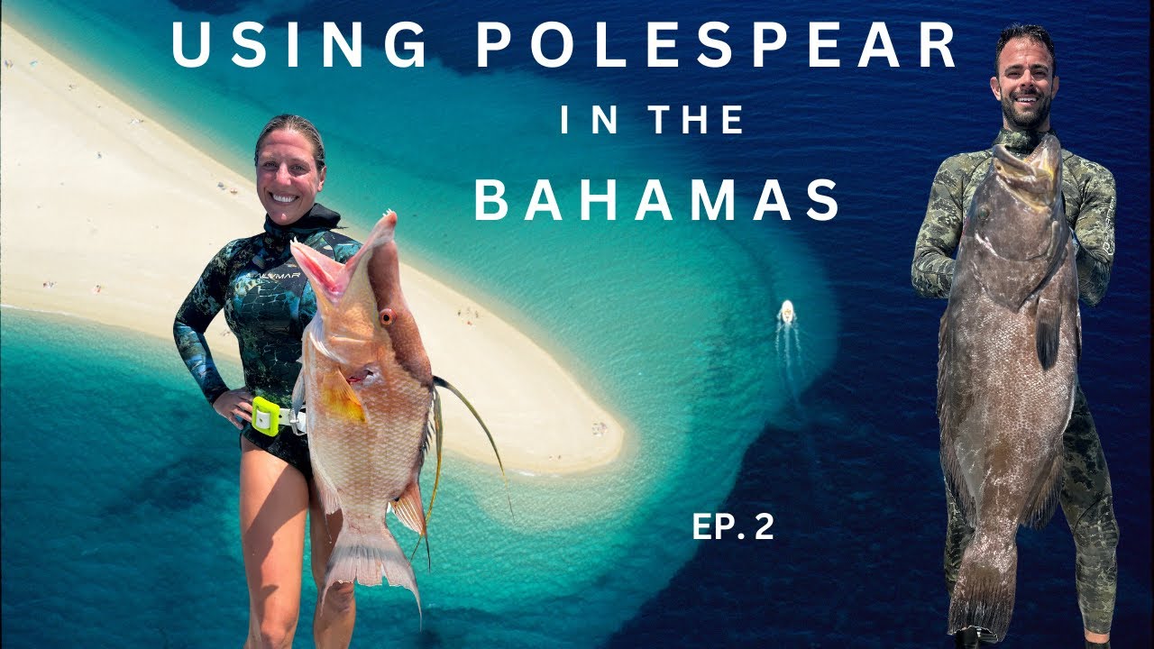 Hogfish & Grouper Galore | Bahamas Polespear